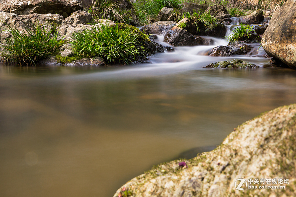 #ZOL月赛-春暖花开#+潺潺溪流