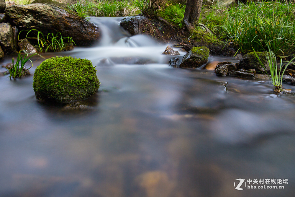 #ZOL月赛-春暖花开#+潺潺溪流