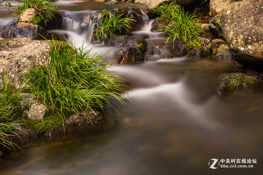 #ZOL月赛-春暖花开#+潺潺溪流