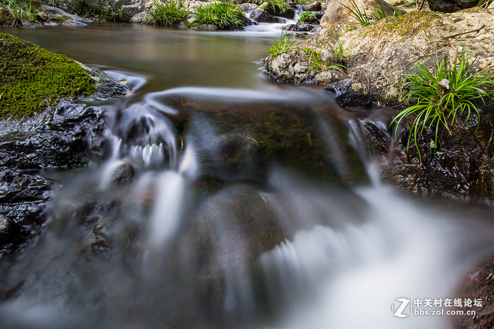 #ZOL月赛-春暖花开#+潺潺溪流