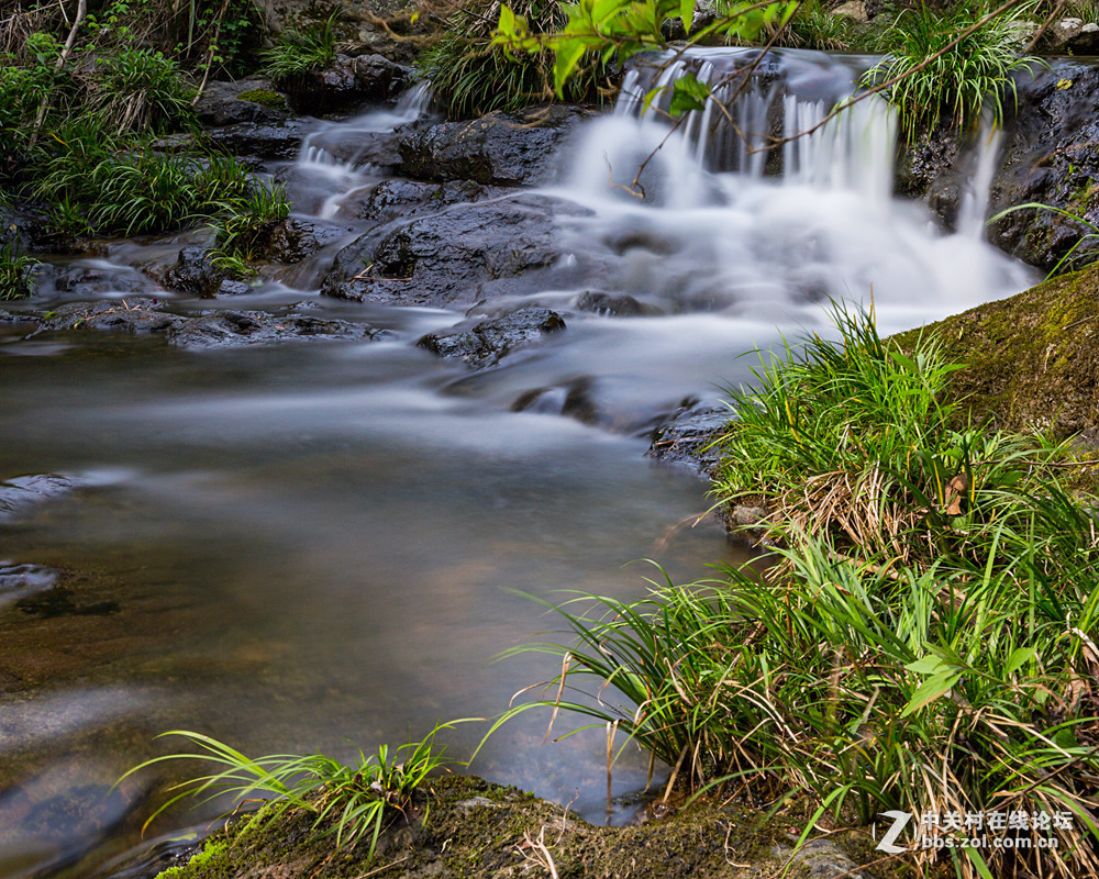 #ZOL月赛-春暖花开#+潺潺溪流
