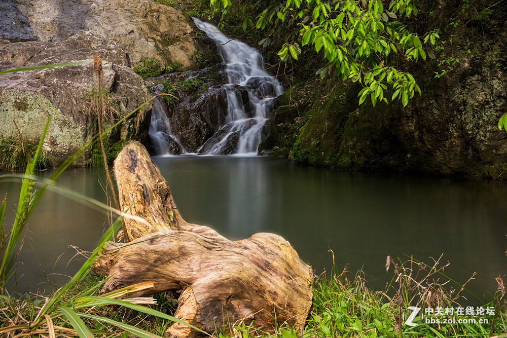 #ZOL月赛-春暖花开#+潺潺溪流