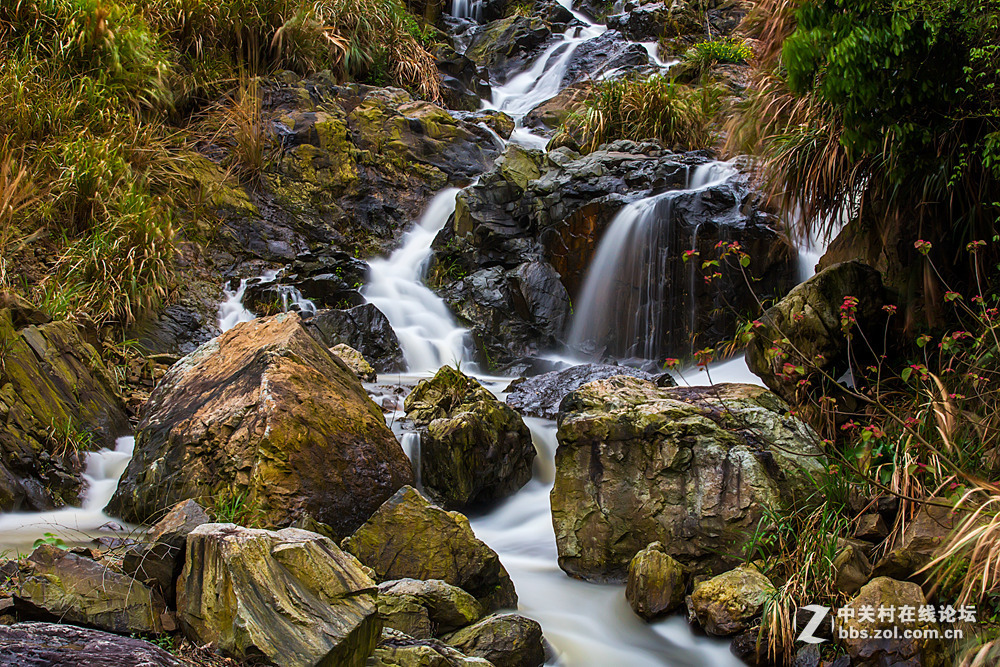 #ZOL月赛-春暖花开#+甘泉石上流