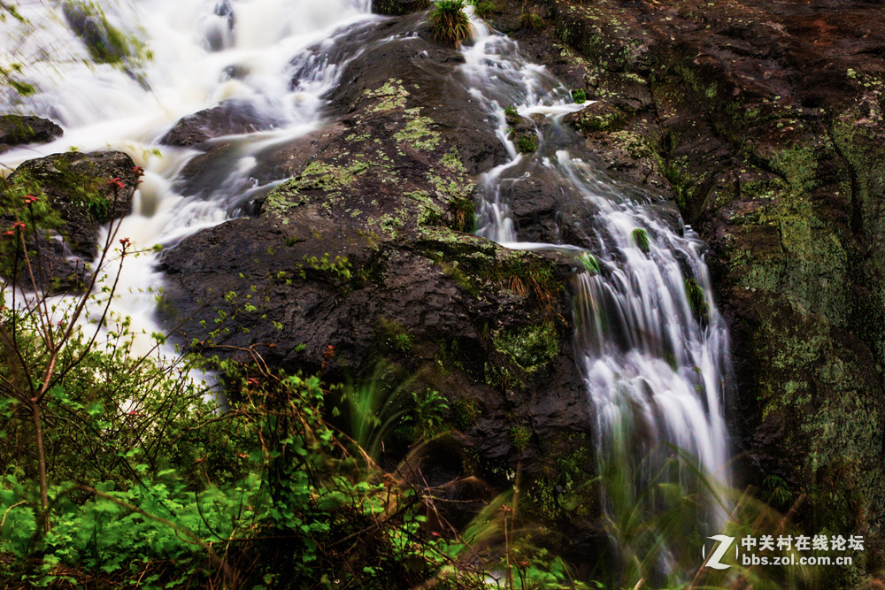 #ZOL月赛-春暖花开#+甘泉石上流
