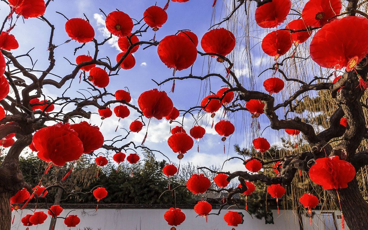 #佳能G族-年味# 张灯结彩------迎新春