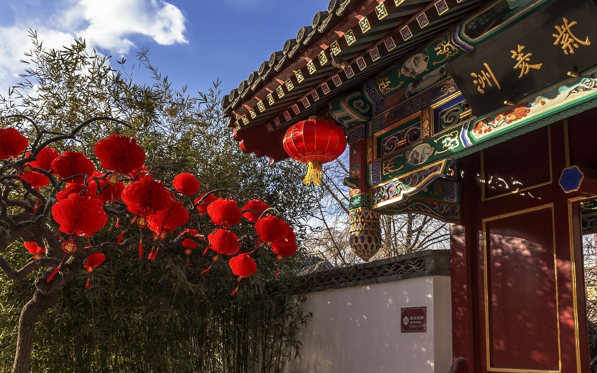 #佳能G族-年味# 张灯结彩------迎新春