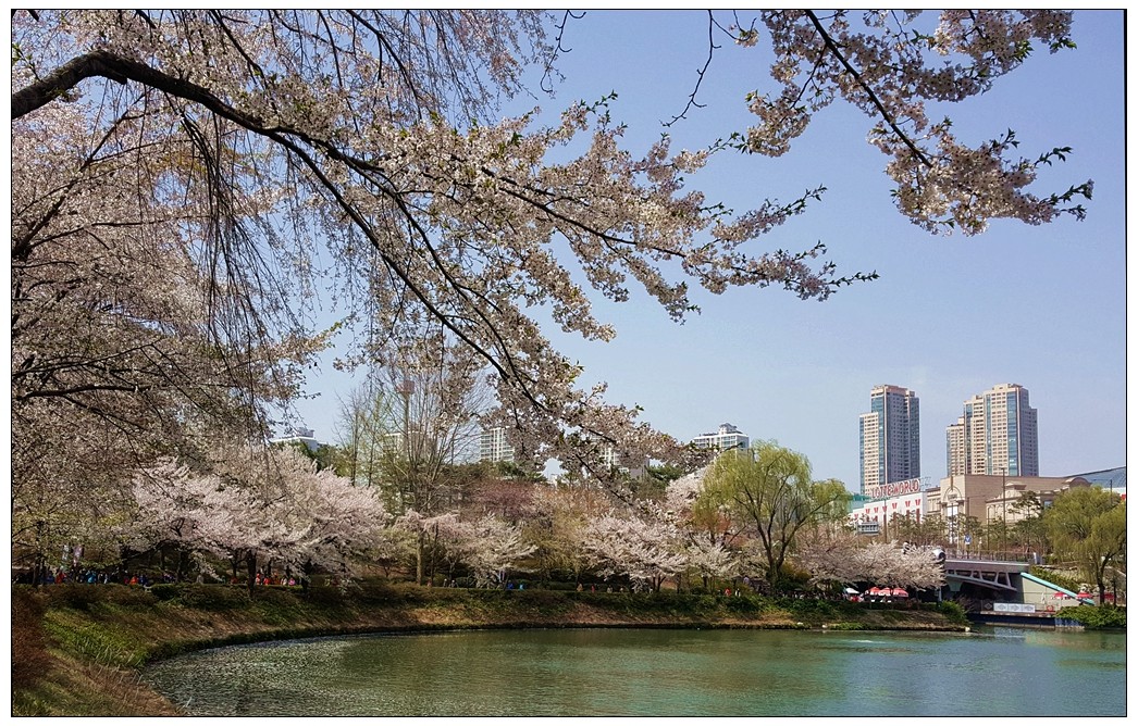 世龙视角-----石村湖春景