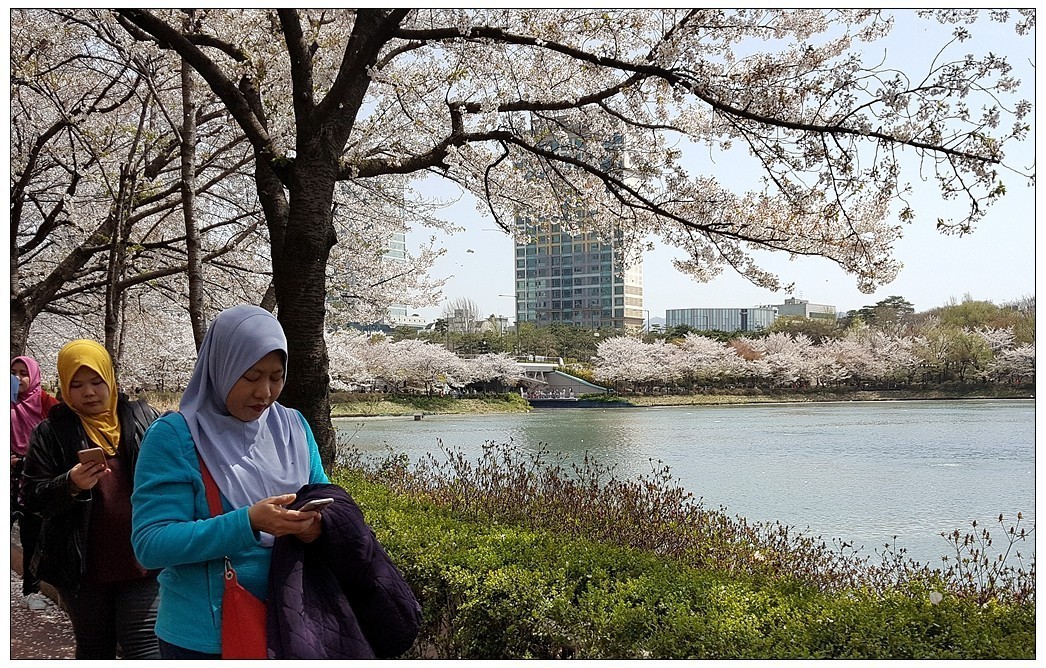 世龙视角-----石村湖春景