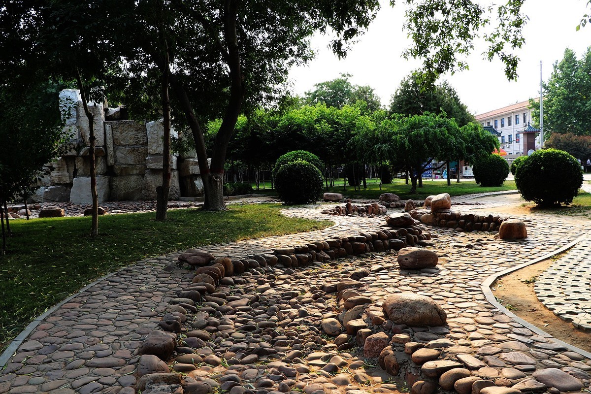 夏日里的梅花公园