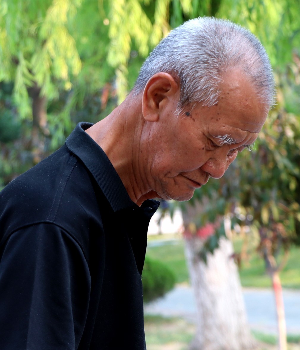 夏日里的梅花公园