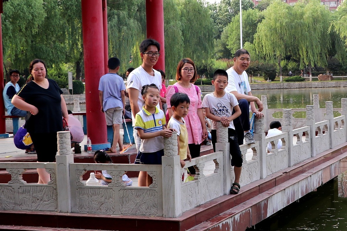 夏日里的梅花公园