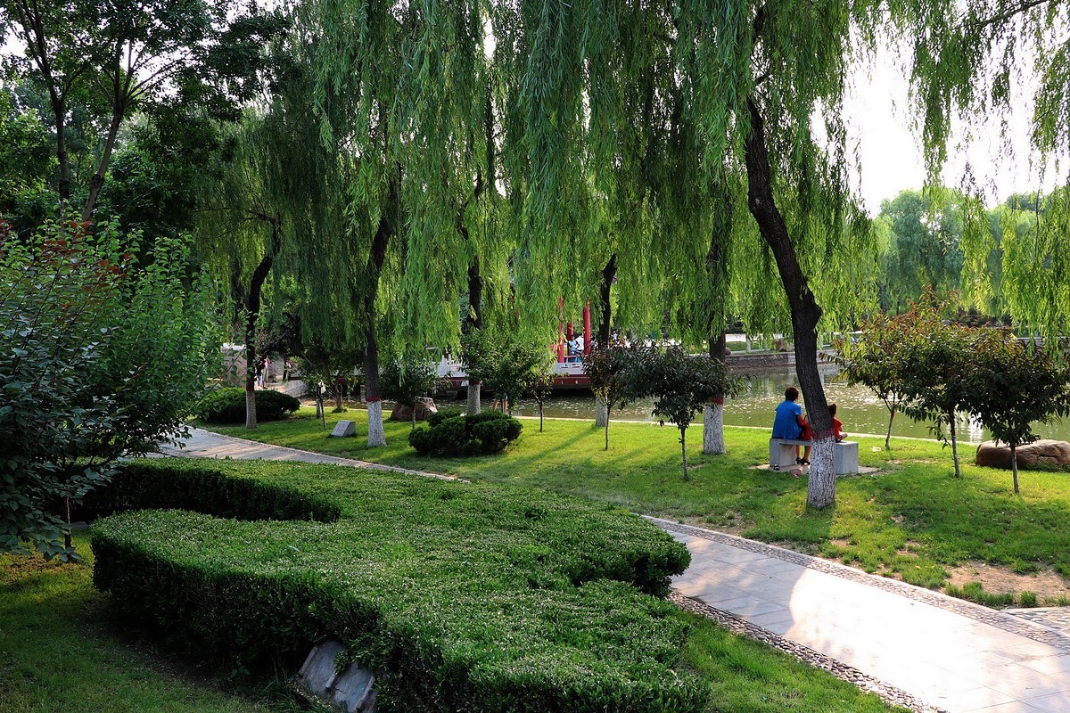 夏日里的梅花公园