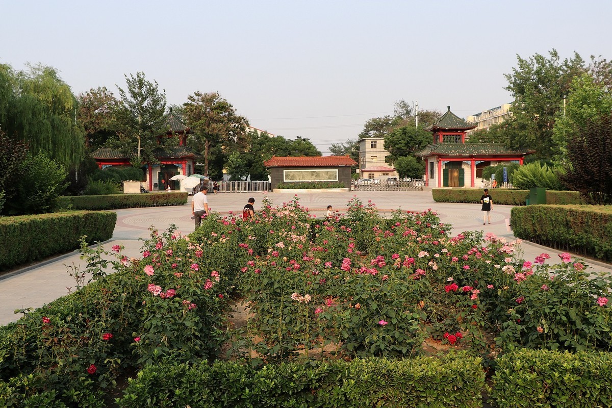 夏日里的梅花公园