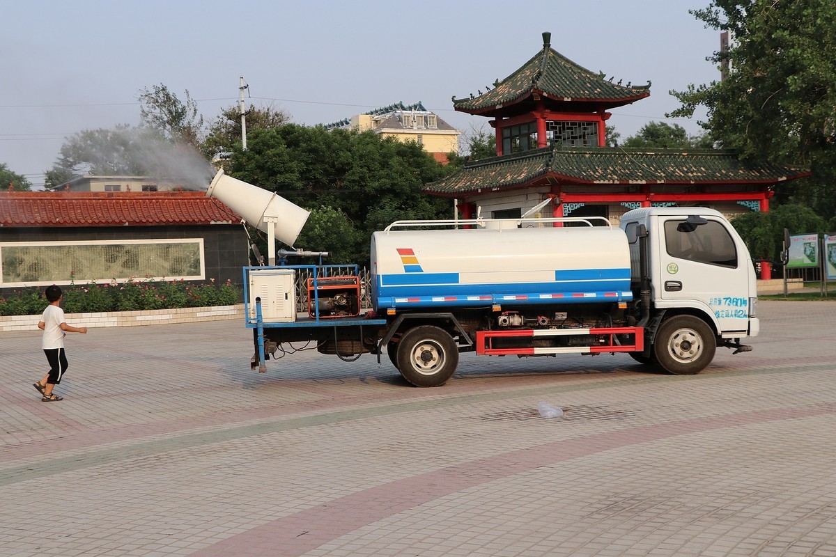 夏日里的梅花公园