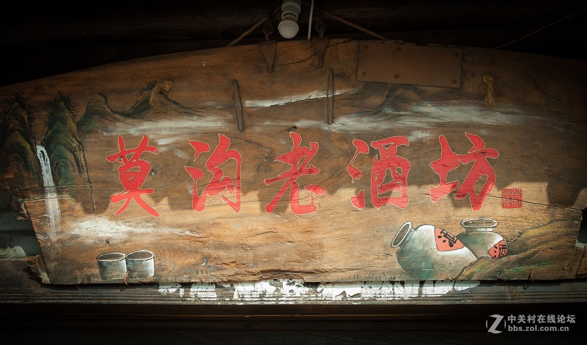 我的2018------总结篇