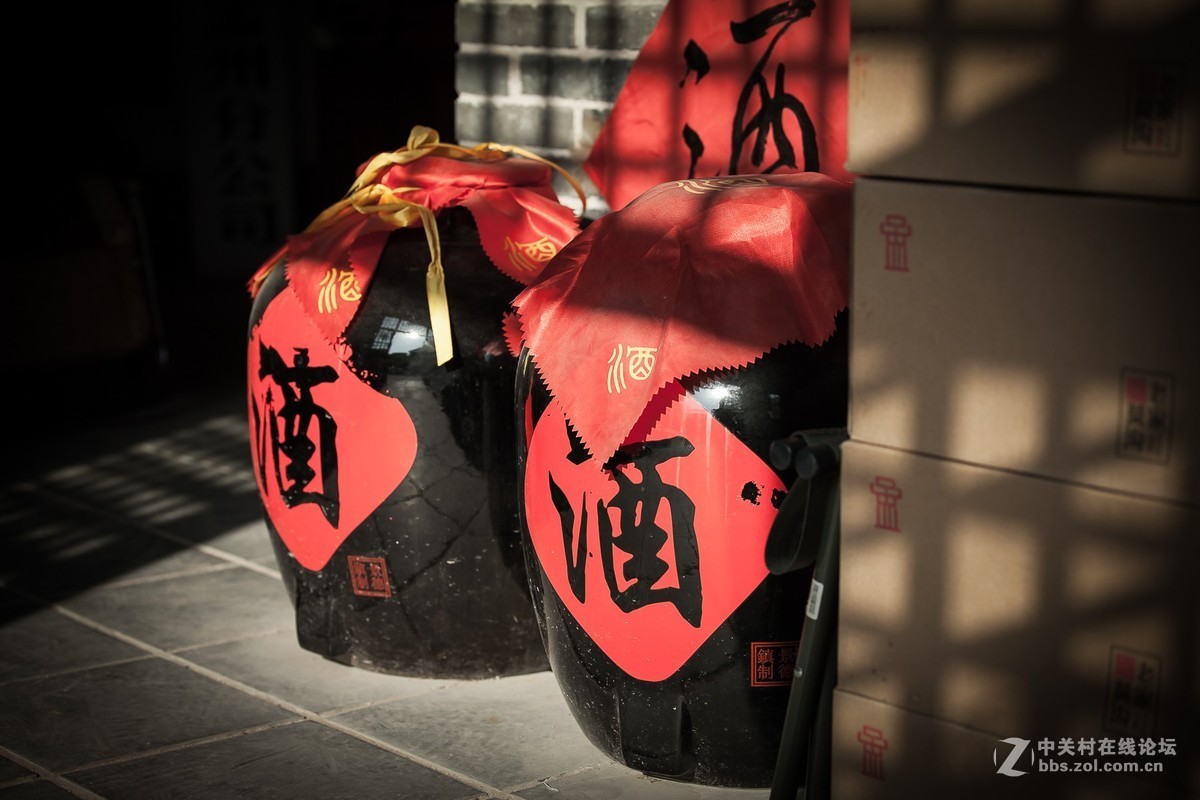 我的2018------总结篇