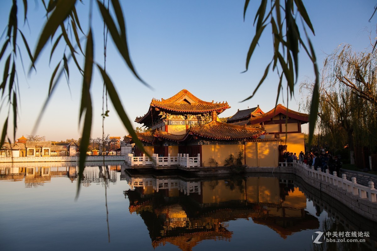 我的2018------总结篇