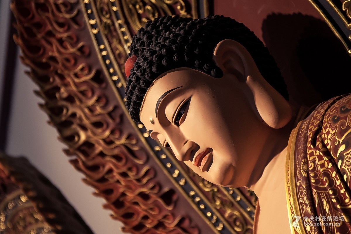 我的2018------总结篇