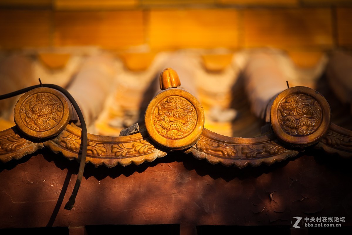 我的2018------总结篇