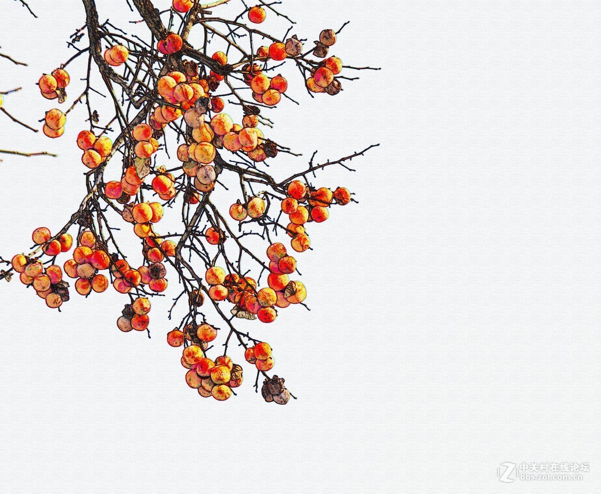 我的2018------总结篇