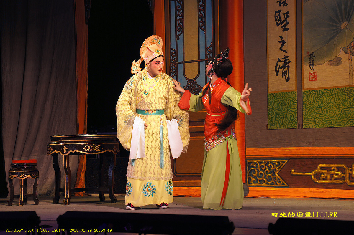 戏曲表演人物抓拍................我们村里的春晚(2016)