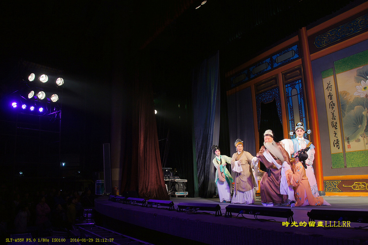 戏曲表演人物抓拍................我们村里的春晚(2016)