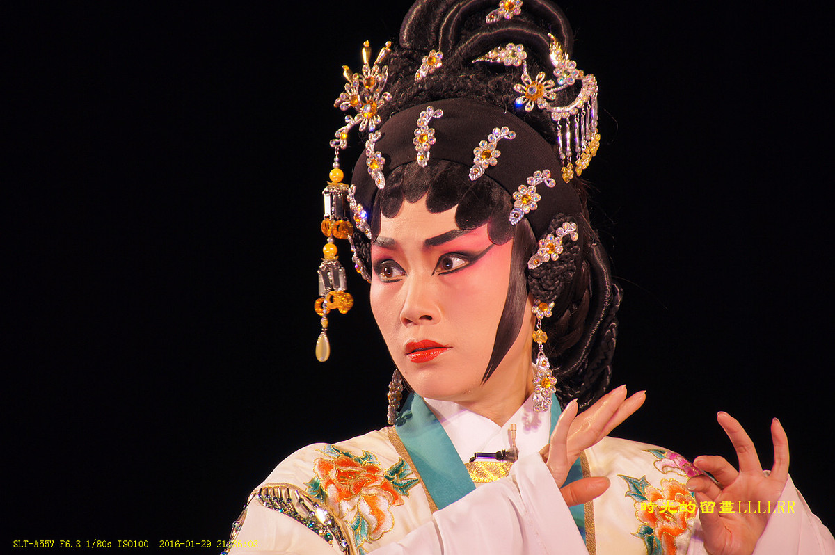 戏曲表演人物抓拍................我们村里的春晚(2016)