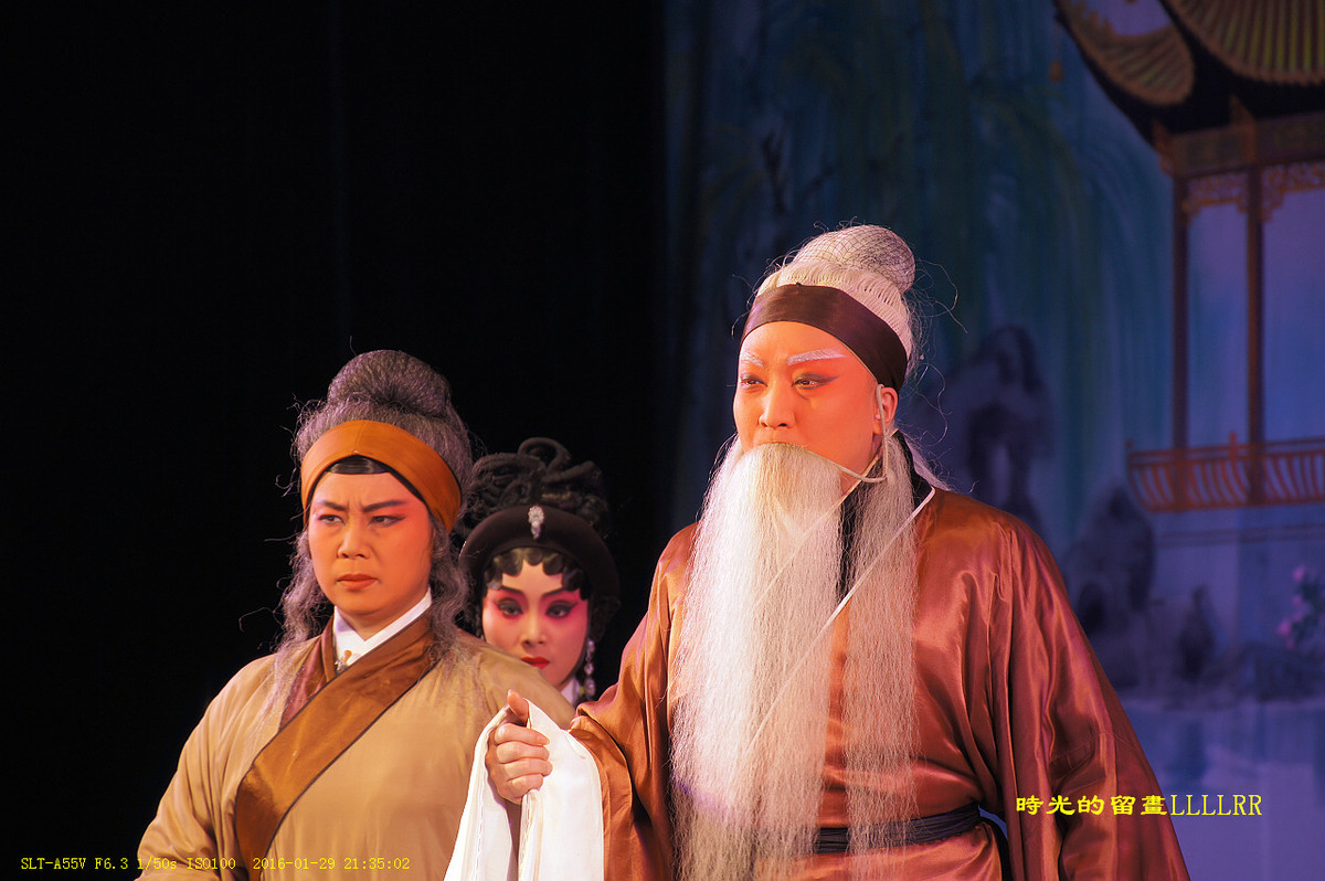 戏曲表演人物抓拍................我们村里的春晚(2016)