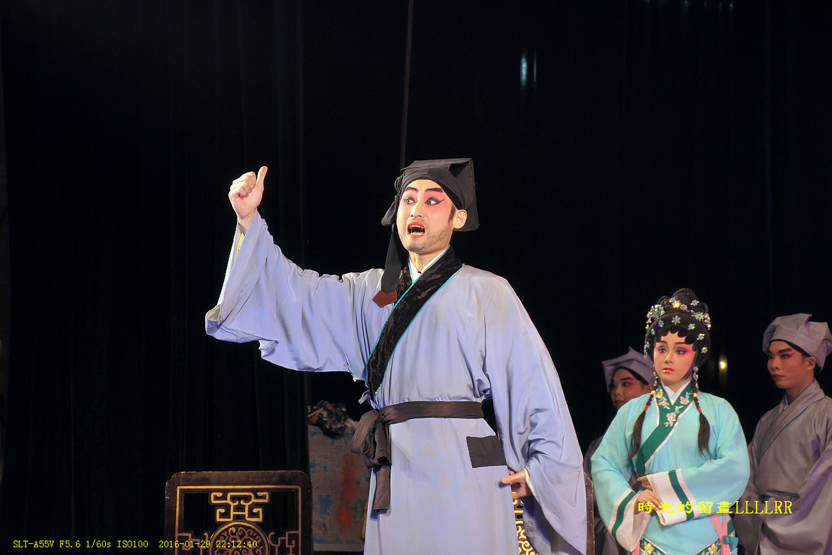 戏曲表演人物抓拍................我们村里的春晚(2016)