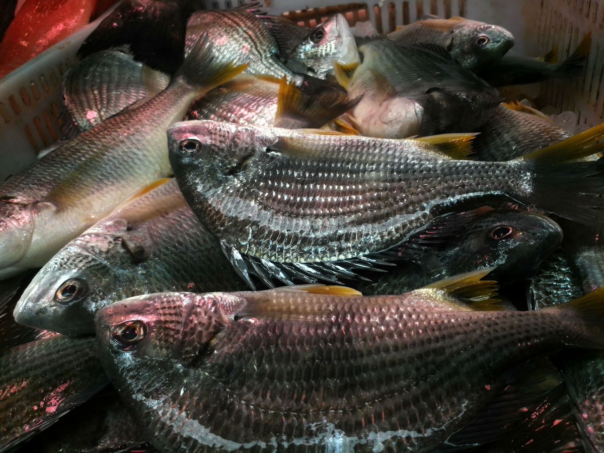 联想K910的一组随拍--2014年的手机也能拍好片！