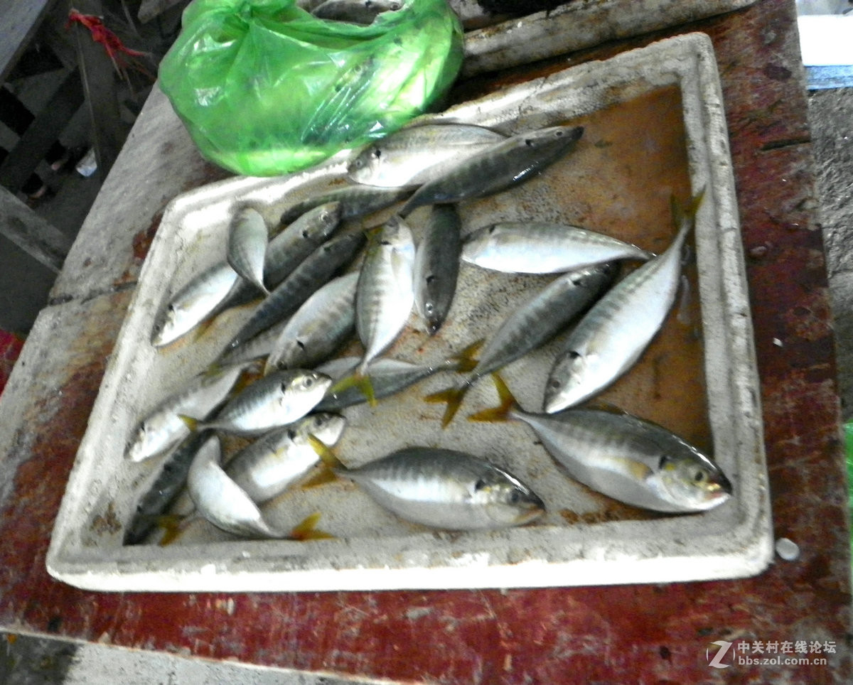 2016国庆（10）里火口岸