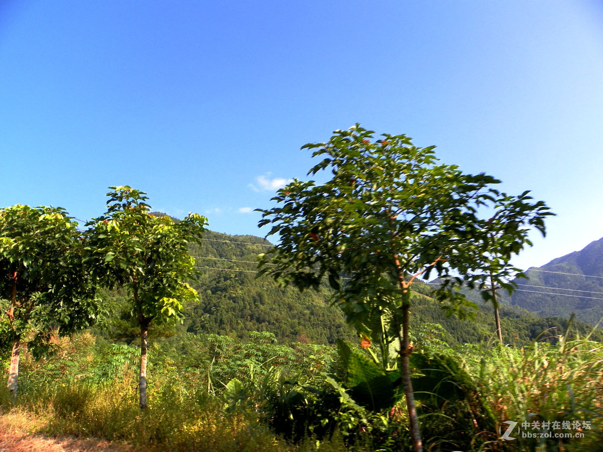 2016国庆（10）里火口岸