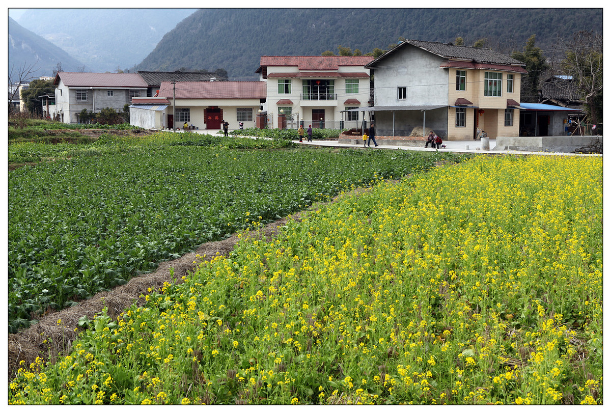 纪实美丽新村幸福家园