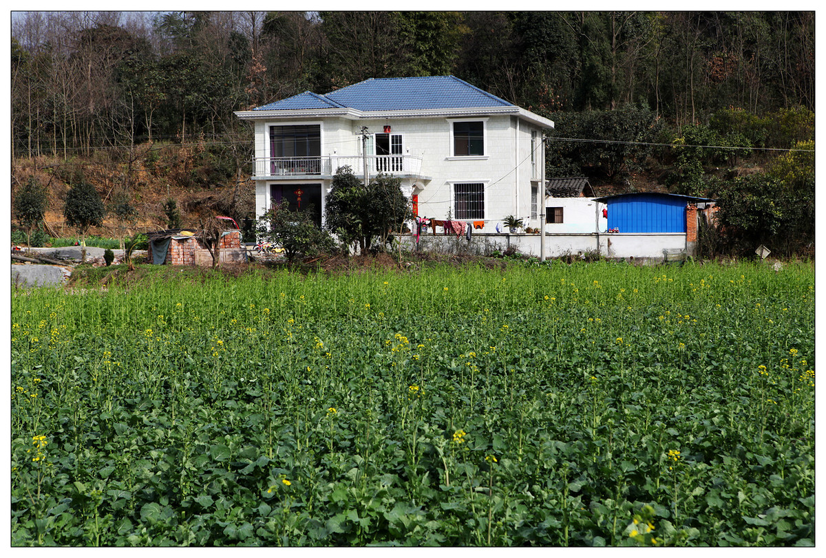 纪实美丽新村幸福家园