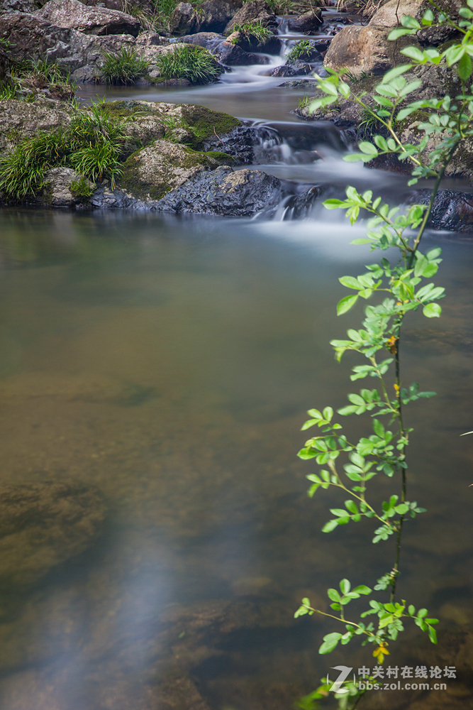 #ZOL月赛-春暖花开#+潺潺溪流
