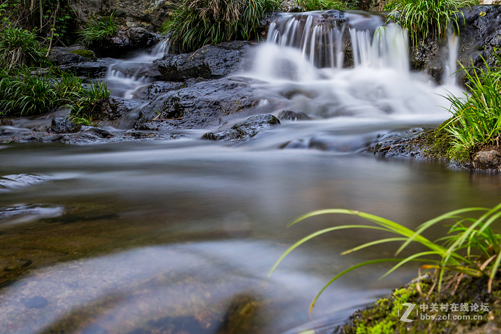 #ZOL月赛-春暖花开#+潺潺溪流