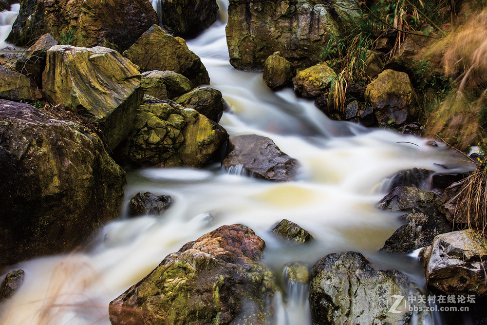 #ZOL月赛-春暖花开#+甘泉石上流