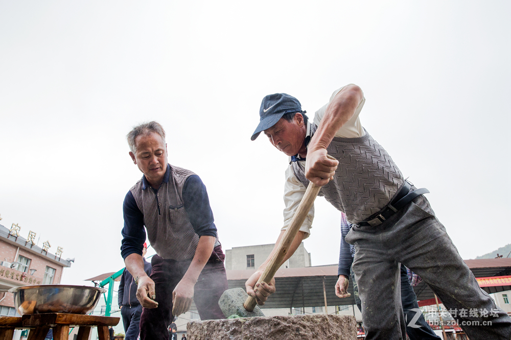 #ZOL月赛-春暖花开#+倒麻糍
