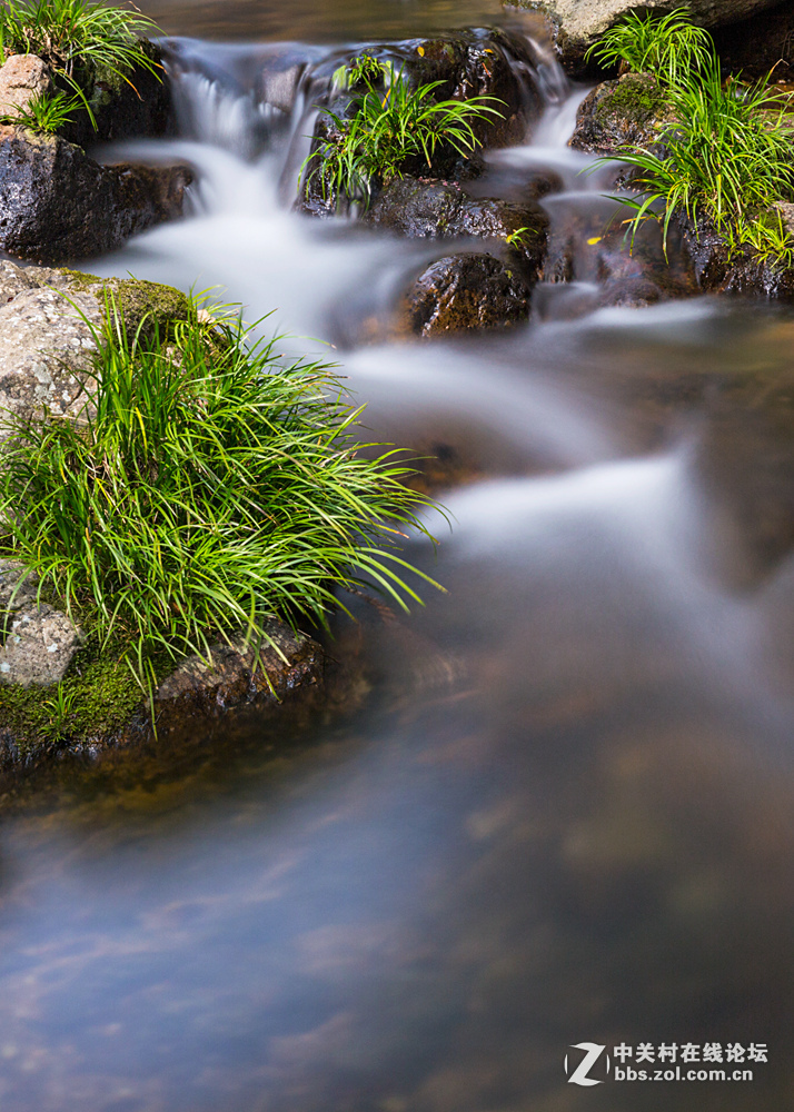 #ZOL月赛-春暖花开#+潺潺溪流