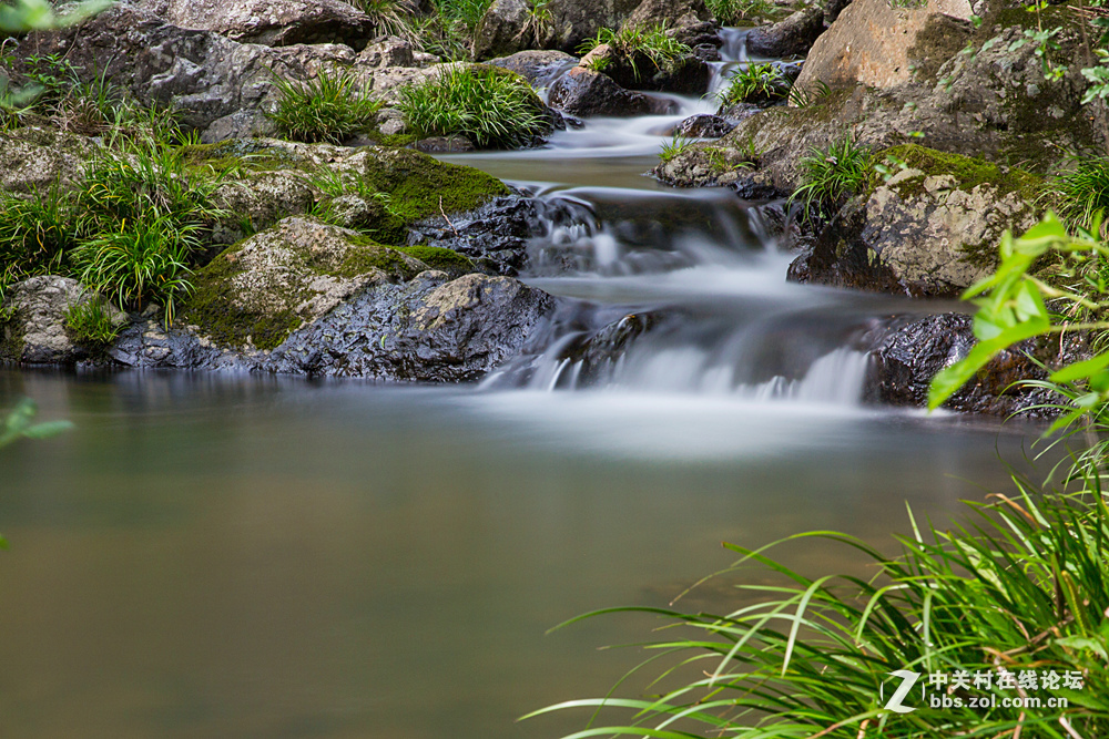 #ZOL月赛-春暖花开#+潺潺溪流