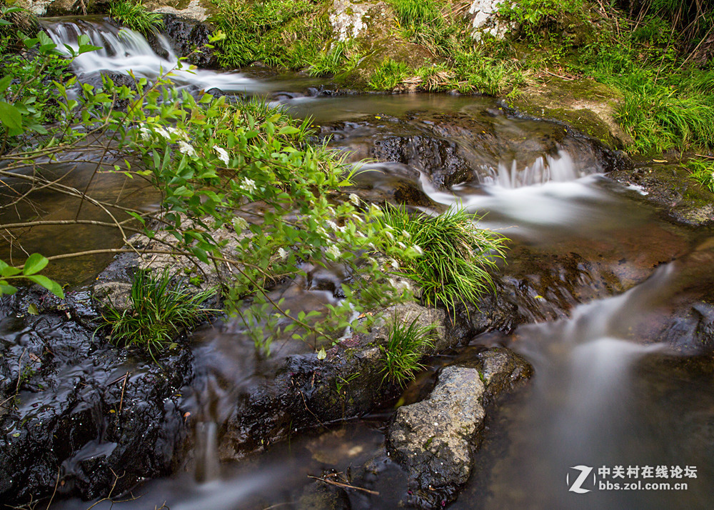 #ZOL月赛-春暖花开#+潺潺溪流