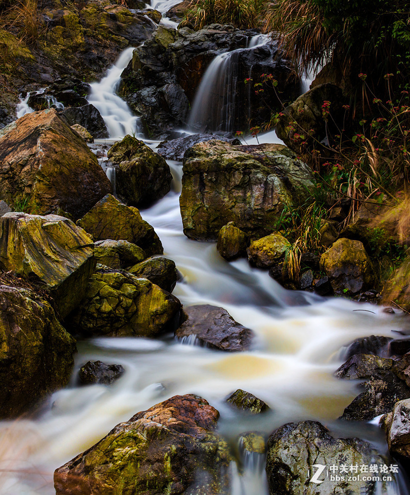 #ZOL月赛-春暖花开#+甘泉石上流