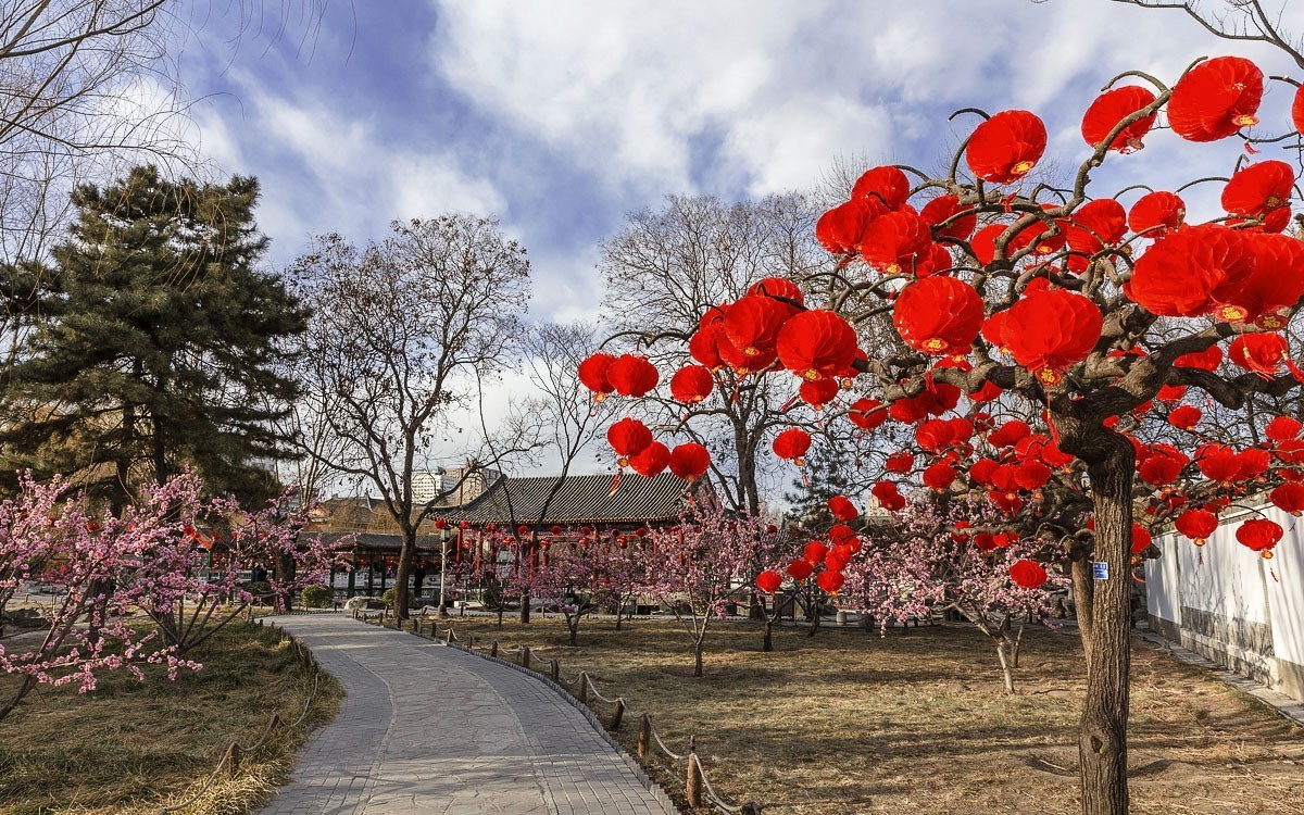 #佳能G族-年味# 张灯结彩------迎新春