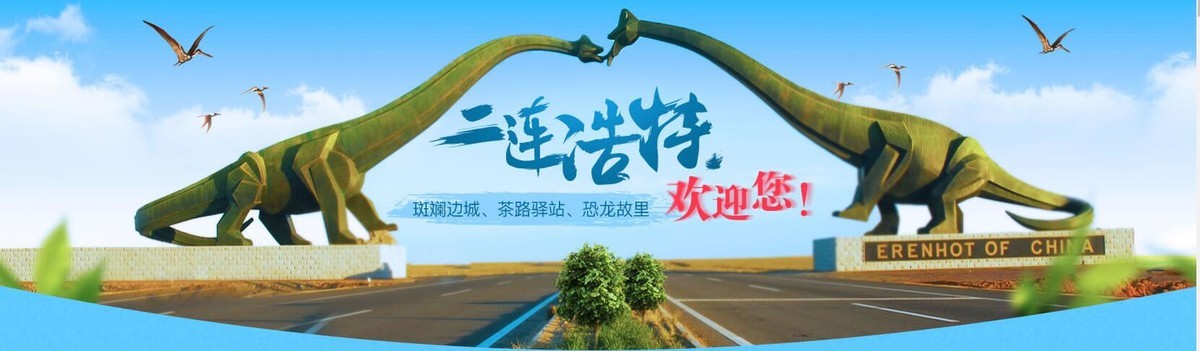 内蒙古自治区督察组来二连浩特市督查旅游市场秩序和旅游安全生产工作