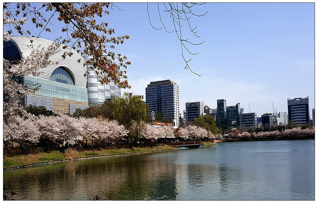 世龙视角-----石村湖春景