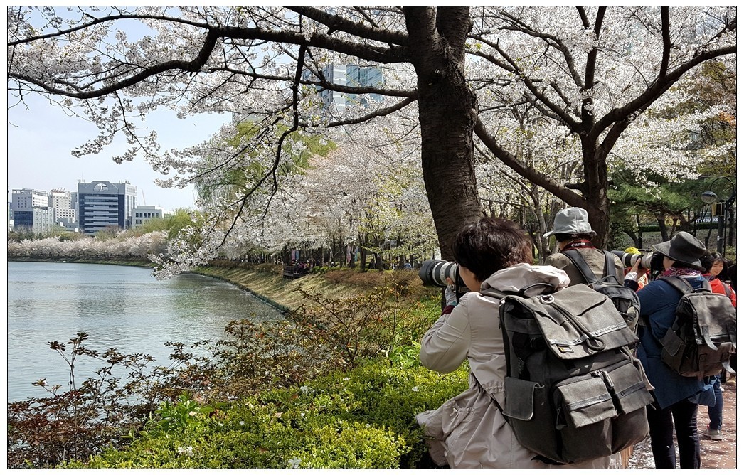 世龙视角-----石村湖春景