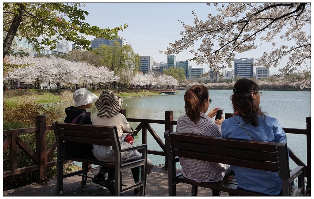 世龙视角-----石村湖春景