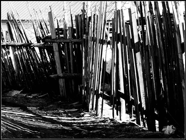 即将消失的平房