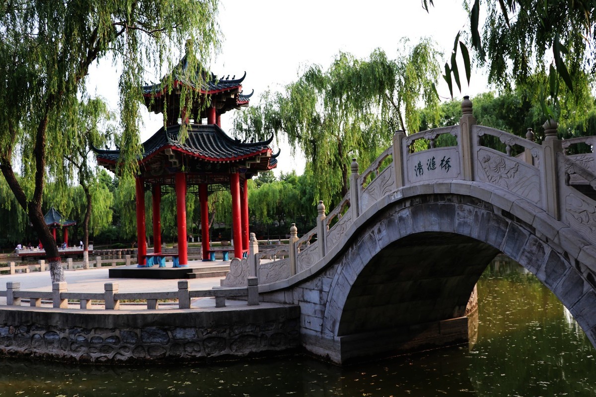 夏日里的梅花公园