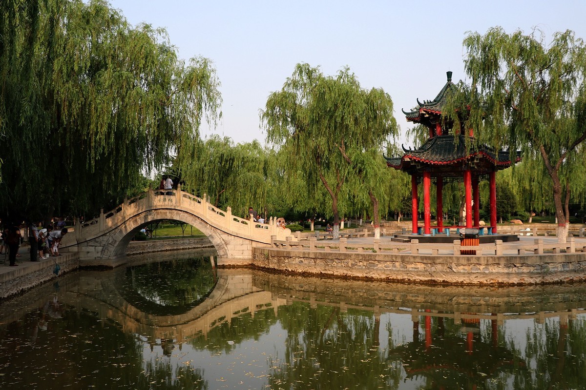 夏日里的梅花公园